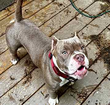 Photo of Zeus