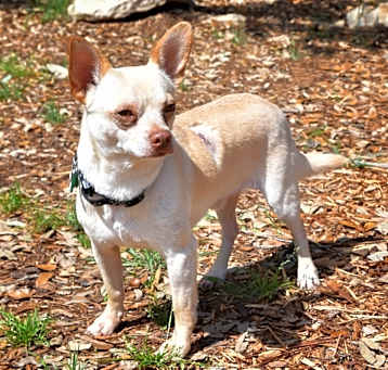 Photo of Bumble