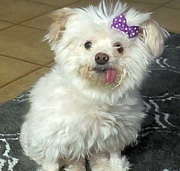 Photo of Evie