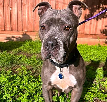 Photo of Winnie