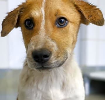 Photo of Lulu