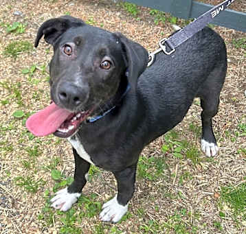 Photo of Buzz ~ meet me!