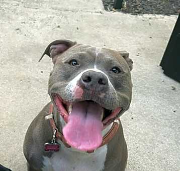 Photo of Nova