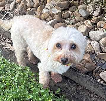 Photo of Ellie Mae