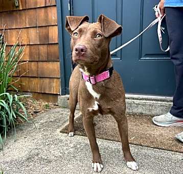 Photo of Cinnamon ~ meet me!