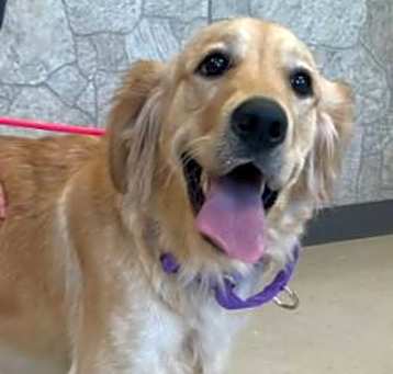 Photo of Lilly