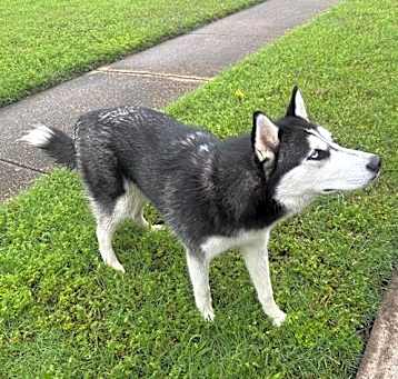 Photo of SWEETIE