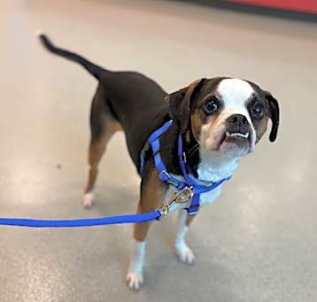 Photo of CASH