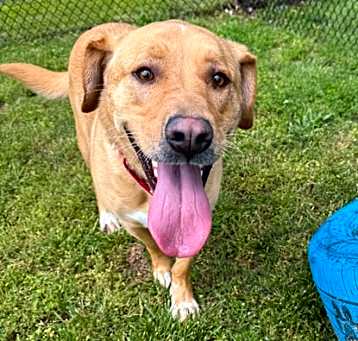 Photo of Maggie (Bea)