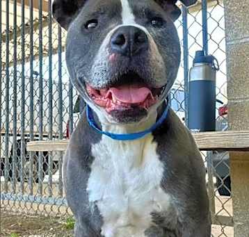 Photo of BLUE