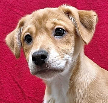 Photo of Happy
