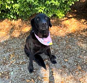 Photo of Molly (Molls)