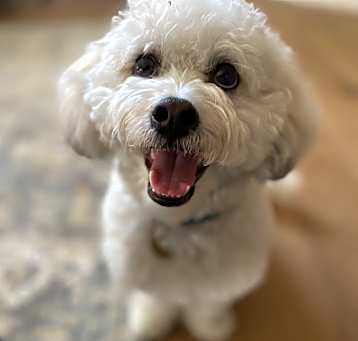 Photo of Olifur