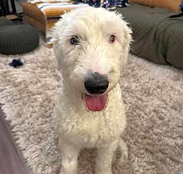Photo of Dottie