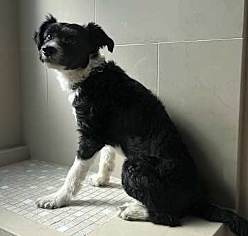 Photo of Micky