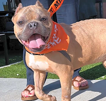 Photo of Buzz