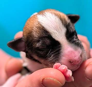 Photo of Baby Girl 4