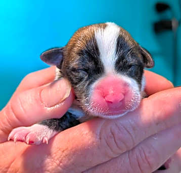 Photo of Baby Girl 3