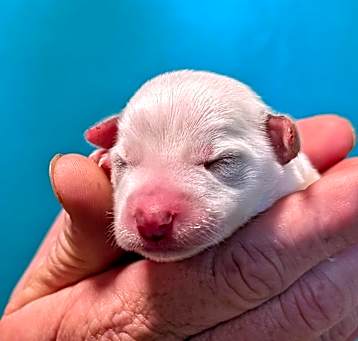 Photo of Baby Girl 1