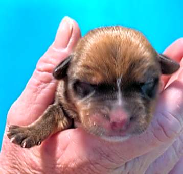Photo of Baby Girl 5