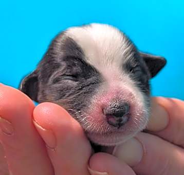Photo of Baby Girl 2