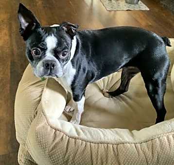 Photo of Peggy Sue
