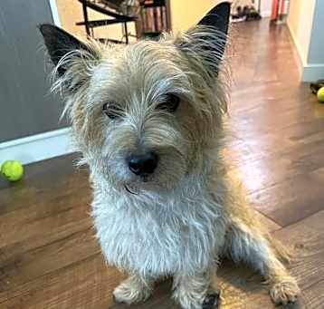 Photo of Toto