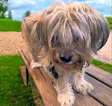 Photo of ZANDER