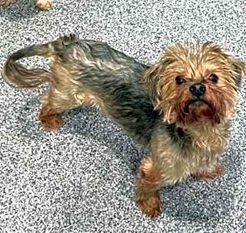 Photo of Charlie