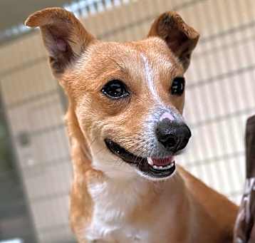 Photo of TUNA