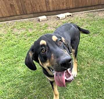 Photo of RANGER