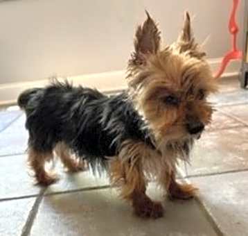 Photo of Walter