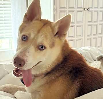Photo of RED TANGO