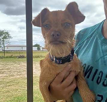 Photo of Paco