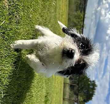 Photo of Hazel