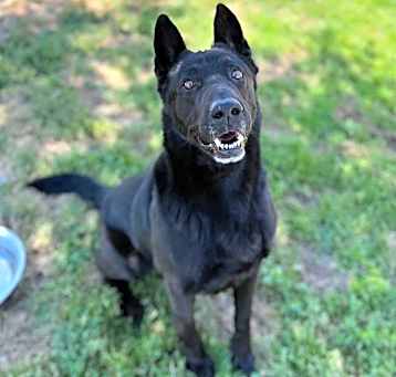 Photo of *ASHER