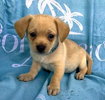 Photo of O'Malley