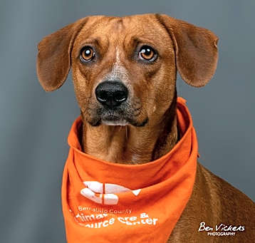 Photo of RUDY