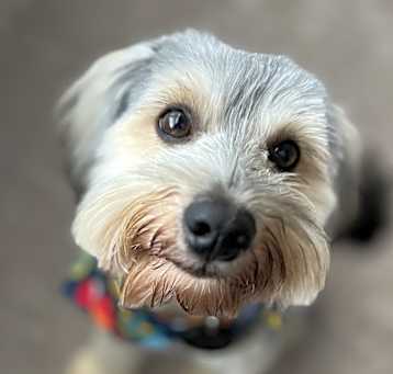 Photo of Fetch