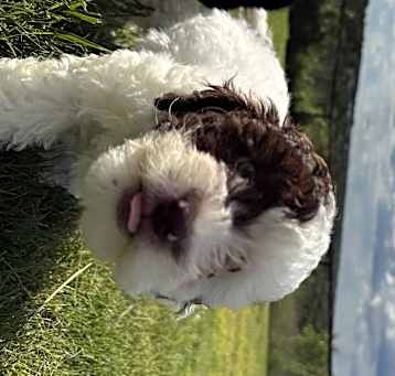 Photo of Agnes