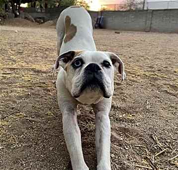 Photo of TAZZY D
