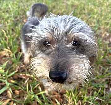 Photo of Arthur