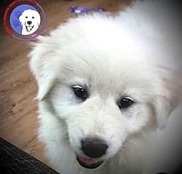 Photo of Chunk