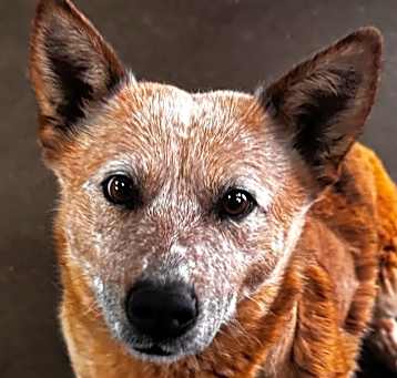 Photo of Winnie