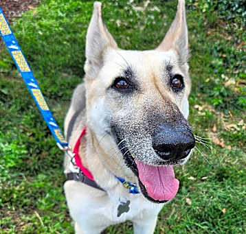 Photo of Luna Quinn