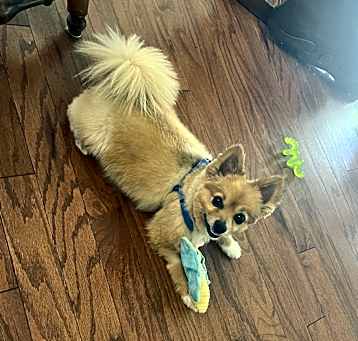 Photo of Noah