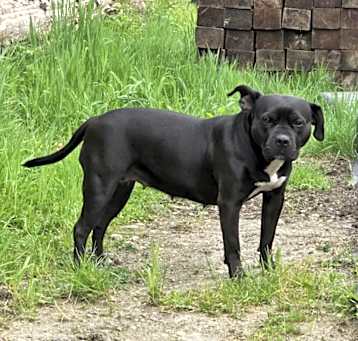 Photo of Maggie May