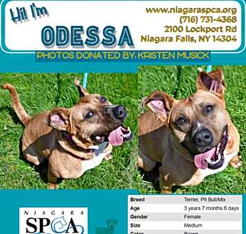 Photo of Odessa