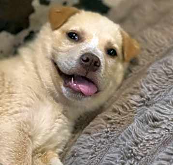 Photo of Muriel