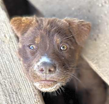 Photo of Agnes